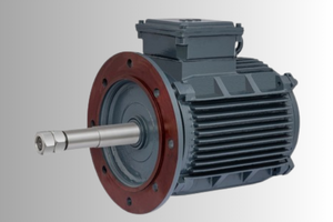 Cooling Tower Motor